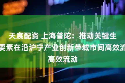 天宸配资 上海普陀：推动关键生产要素在沿沪宁产业创新带城市间高效流动